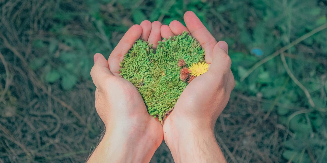 Where Good Grows: Our Shared Impact on Community