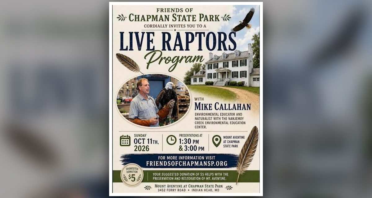 Live Raptors with Mike Callahan at Mount Aventine