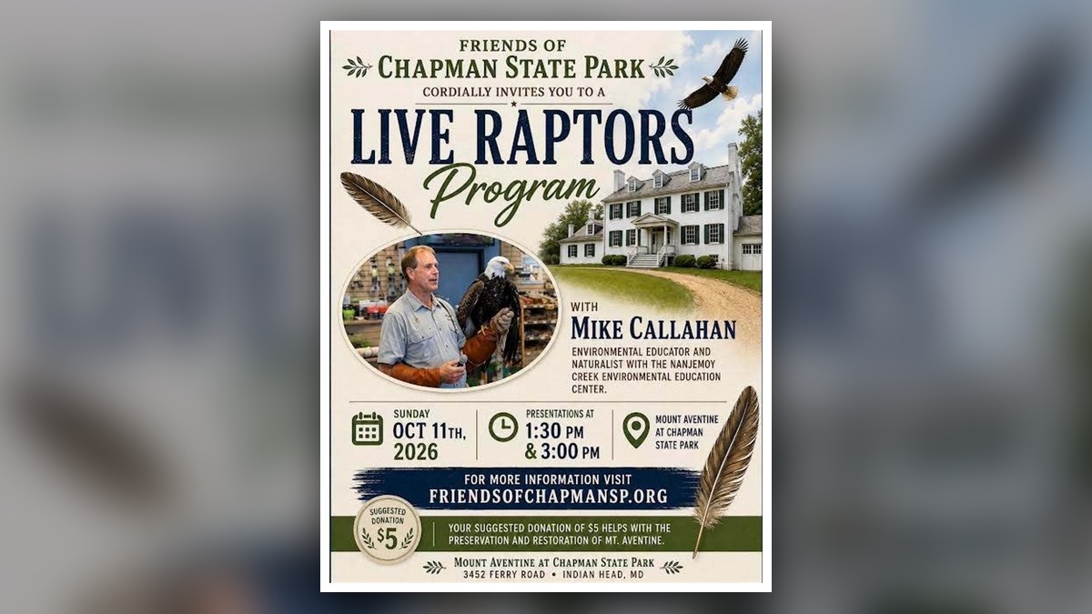 Live Raptors with Mike Callahan at Mount Aventine