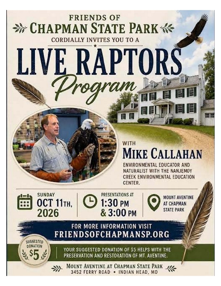 Live Raptors with Mike Callahan at Mount Aventine flyer